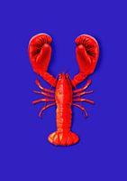 Lutte contre le homard