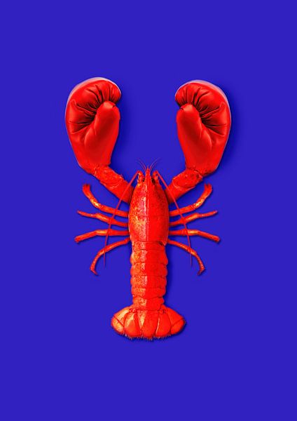 Hummerkämpfe von 360brain