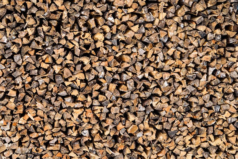 Wood pile by Francisca Snel