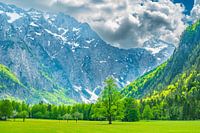 Alpengebirgslandschaft im Logar-Tal im Frühling
