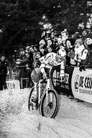 Zilvermeercross Mathieu van der Poel