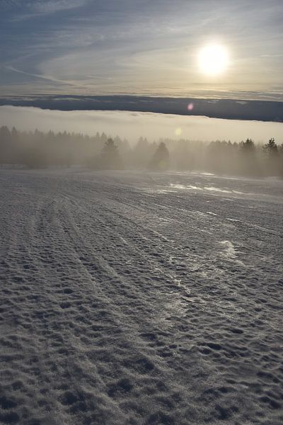 Ein Sonnenaufgang an einem Frühlingsmorgen von Claude Laprise
