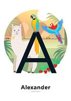 Naamposter Alexander