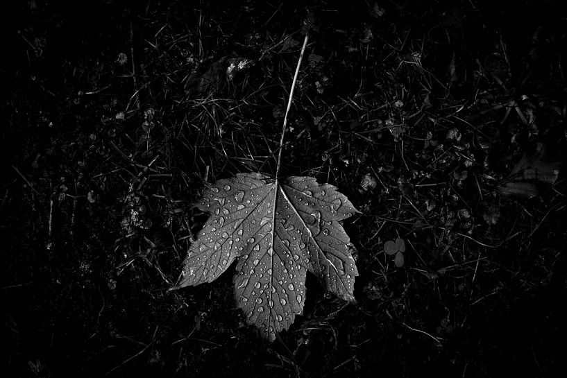 Tränen des Glücks von AnyTiff (Tiffany Peters)