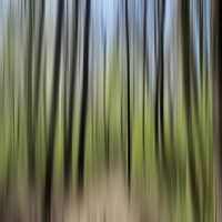 Concept study Kralingse Bos 2