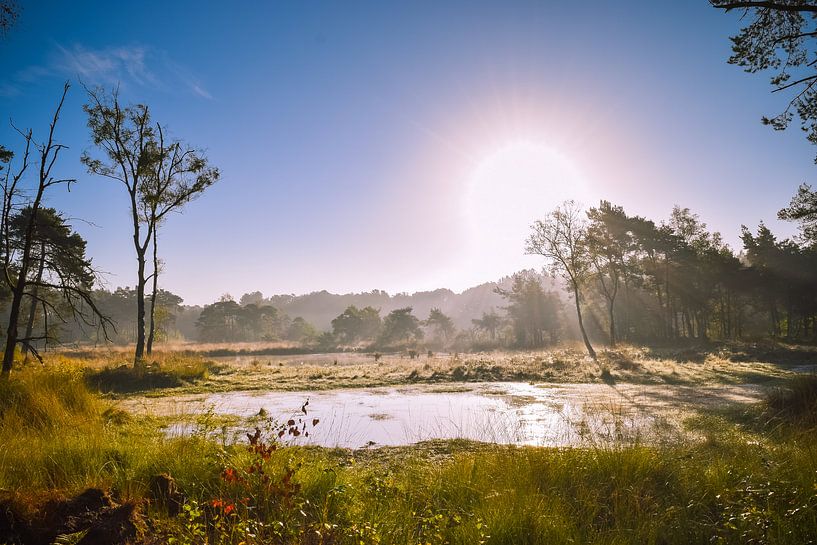 Ven de Halve Maan  von Miranda Rijnen Fotografie