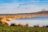 beruhigenden Natur Niederlande Limburg