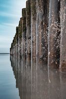 Pile heads on the beach in Zeeland