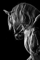 Danser dans la lumière