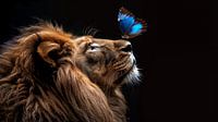Lion with a blue butterfly