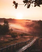 Up a very long flight of stairs for this cool shot