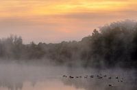 Mystique Sonnenaufgang