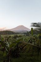 Vulkan Mount Agung, Bali, Sidemen