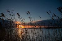 Coucher de soleil à Ostfriesland. Sur le Leda
