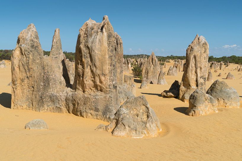 Nambung National Park, Western Australia von Alexander Ludwig