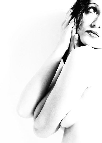 Nude von Falko Follert