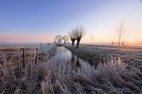winter landscape in the Dutch polder