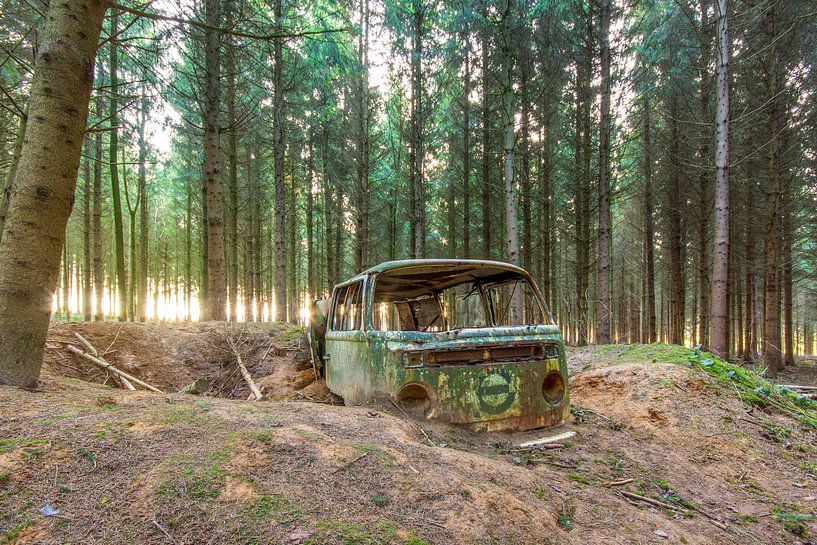 lost in the woods van Henny Reumerman