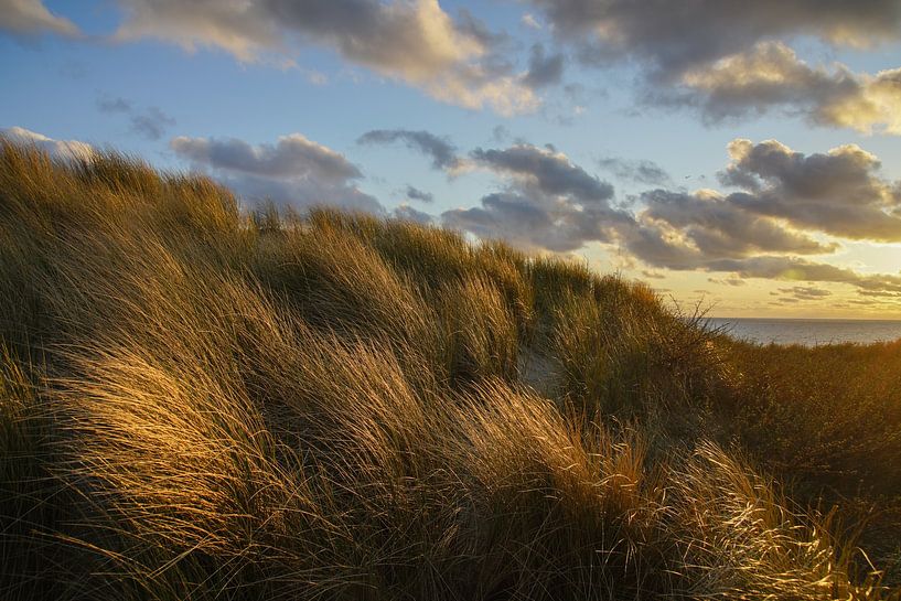 Strand, Meer und Sonne von Dirk van Egmond