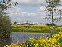 Fietsbrug in Alblasserwaard