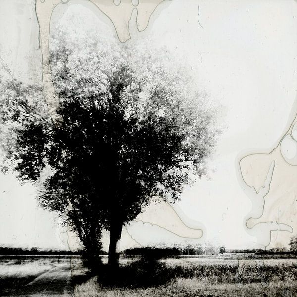 Landschaft unter Zerstörung #01 von Peter Baak