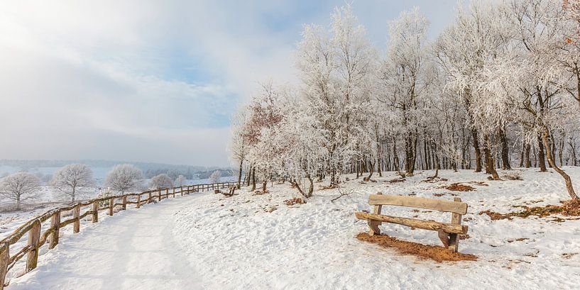 L'hiver sur la Posbank par Martin Bergsma