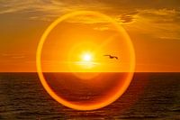 Der Kreis schließt sich