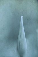 Stehe an deiner Seite