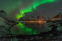 Nordlicht über der Bucht in Senja