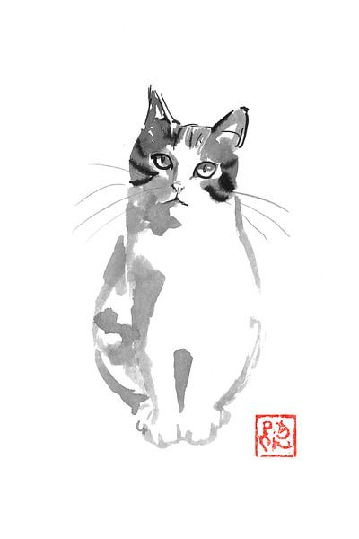 cute white cat par Péchane Sumie