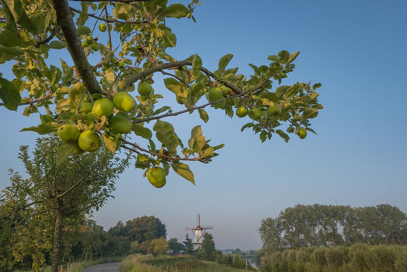 Moulin au pommier par Moetwil en van Dijk - Fotografie