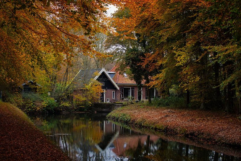 Hütte im Wald von peterheinspictures