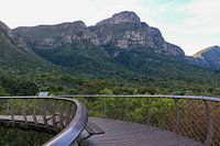 Wandelbrug Botanische tuin Kaapstad