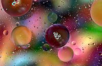 Défilé de couleurs