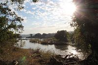 Vue ensoleillée à travers