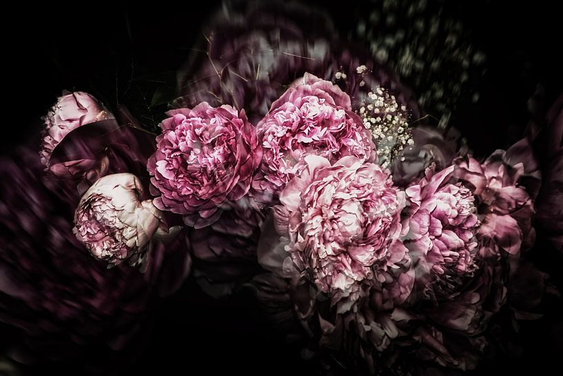 Peony Dream by Marlika Art