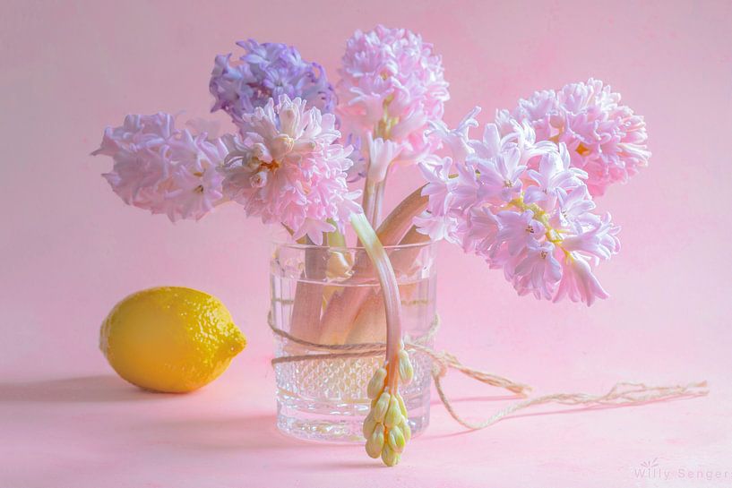 Citroen par Willy Sengers