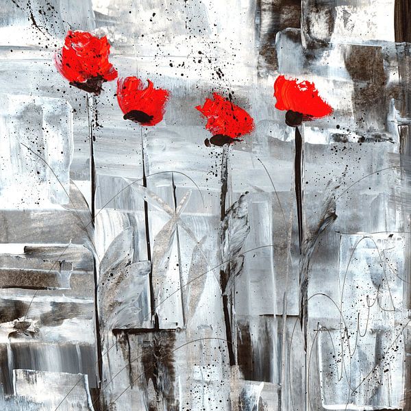 Roter Mohn von Katarina Niksic