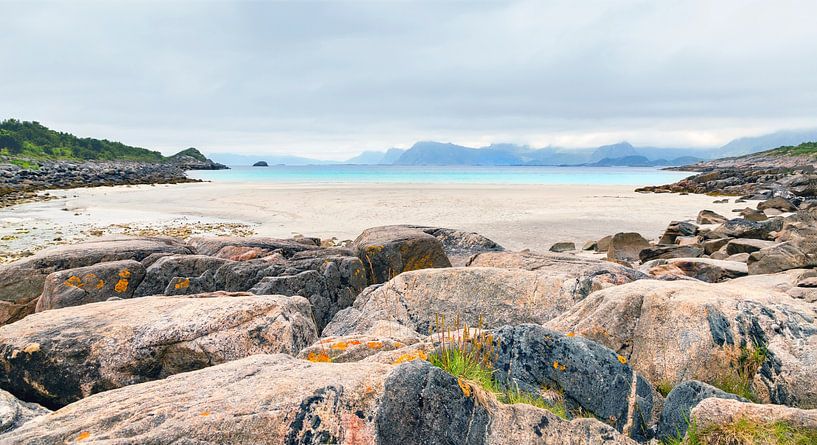 Rørvikstranda , Austvagoy, Lofoten Archipelago, Norway by Mieneke Andeweg-van Rijn