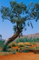 Das australische Outback, Northern Territory