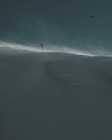 Ski de randonnée & oiseau sur une crête venteuse dans le soleil du matin