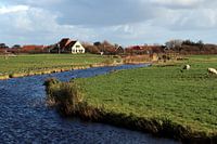 Polder auf Terschelling