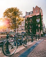 Vélo sur un pont au-dessus du canal d'Amsterdam au coucher du soleil avec une maison en lierre en ar
