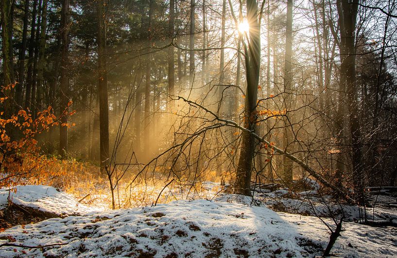 Wintertafereel by Arjen Uijttenboogaart