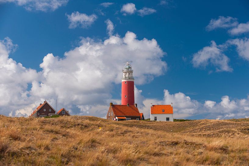 Vuurtoren op het Eiland Texel by Brian Morgan