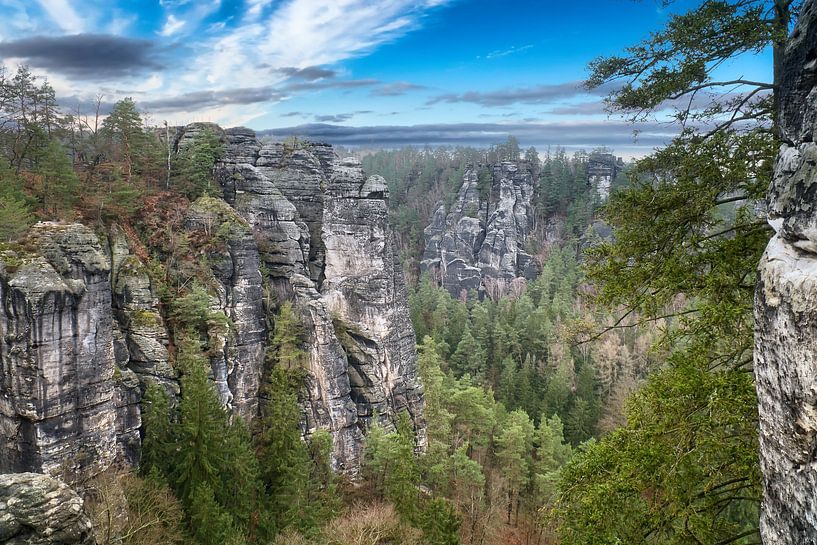 Felsen im Elbsandsteingebirge an der Bastei von Martin Köbsch
