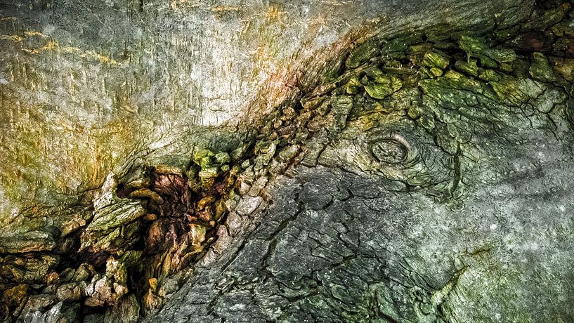 Structures naturelles 2 par Reinder Tasma