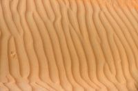 Traces et crêtes dans le désert