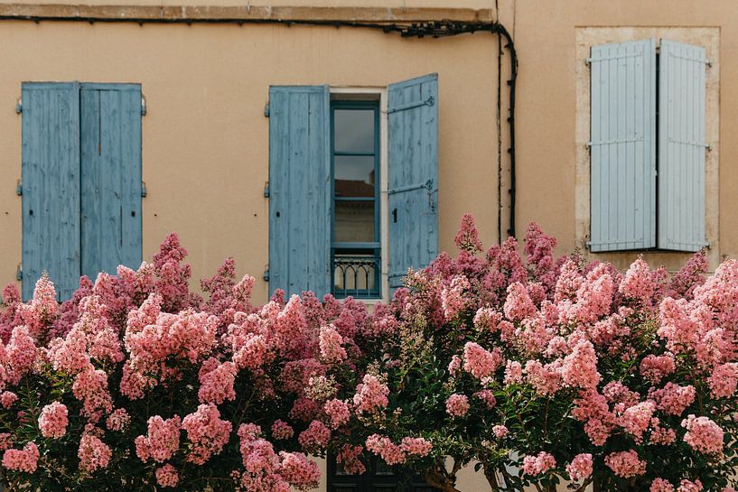 hortensia ! par Huib Vintges