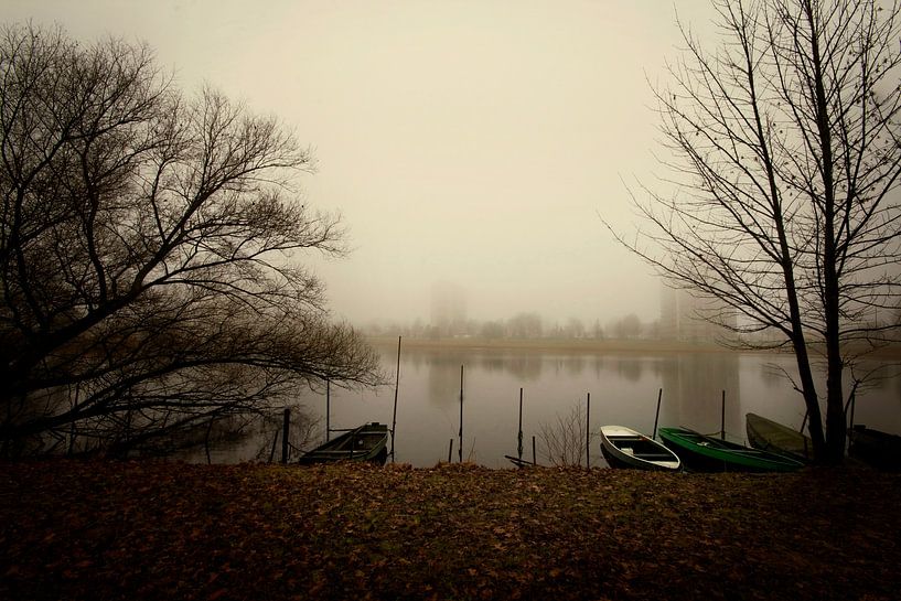 Zuiderplas 's-Hertogenbosch roeiboot van Nilla Berretty